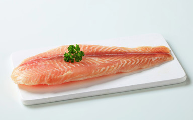 Sticker - Raw fish fillet