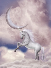 Canvas Print - Unicorn