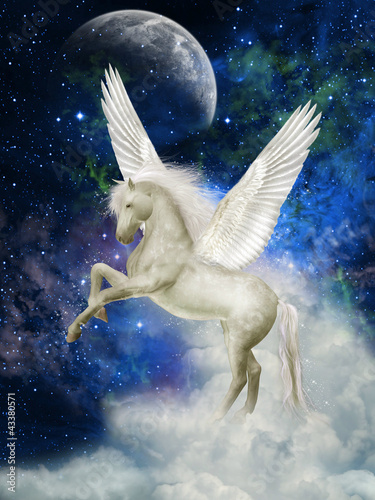 Naklejka na szybę Pegasus