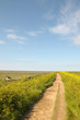 Coastal path through marshes at Blakeney in Norfolk