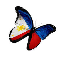 Philippine Flag Butterfly Flying, Isolated On White Background