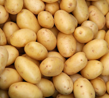 Young Potatoes