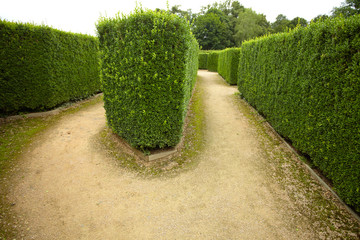 geometric pattern of green hedge flowerbed