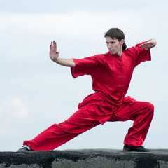 Wall Mural - Wushoo man in red practice martial art