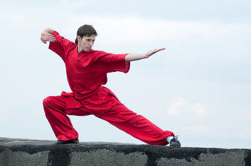 Wall Mural - Wushoo man in red practice martial art