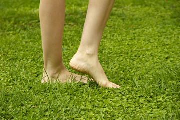 Wall Mural - Legs walking on lawn