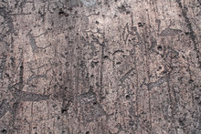 Rock Paintings (petroglyphs) Of Zalavruga. Swan