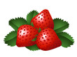 Vector illustration of three strawberries
