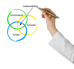 Wall Mural - Presentation of diagram of sustainability