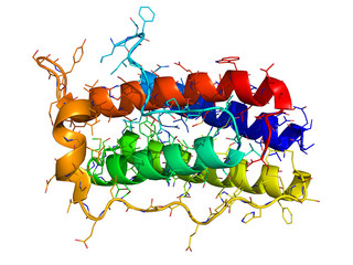 Sticker - leptin 3d molecule on white