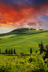 Wall Mural - Tuscany Hills and Countryside in Chianti region