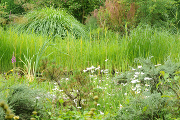 France, le Jardin de l Atelier in Perros Guirec