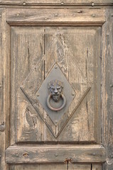 Wall Mural - Stylish knocker on the door