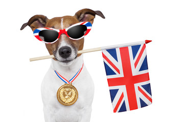 olympic dog