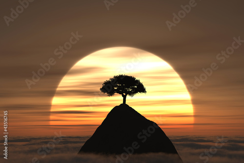 Fototapeta na wymiar The sunset tree