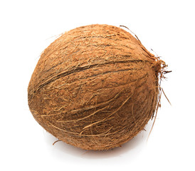 coconut on white background