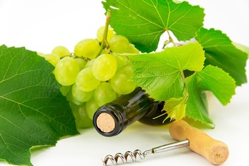 Bottle of wine with grape vines