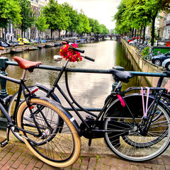 Wall Mural - Bicycle along a canal in Amsterdam, the Netherlands