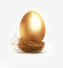 Golden Egg In Nest