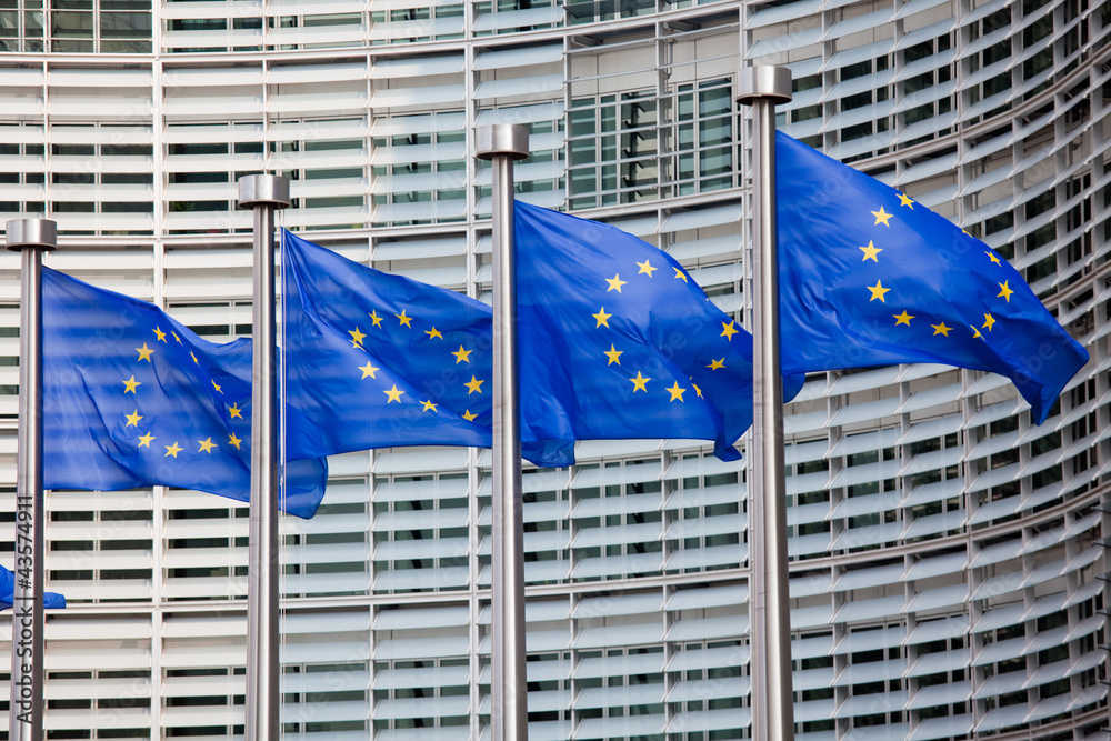 Obraz na płótnie European flags in Brussels w salonie