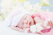 © Shchipkova Elena - newborn girl sleeps with spring flowers