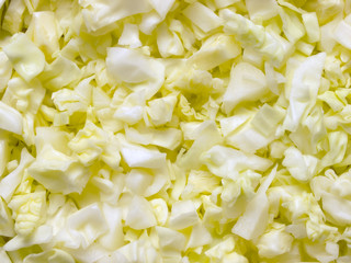 Sticker - chopped cabbage