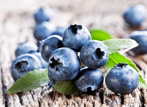 Obraz w ramie Blueberries with leaves