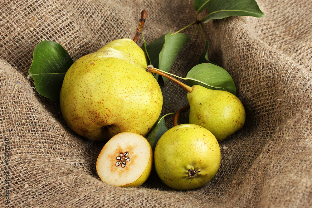 Juicy flavorful pears on sackcloth