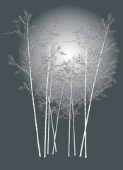 Sticker - bamboo illustration on grey background