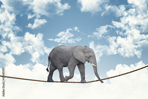 Fototapeta na wymiar elephant on rope