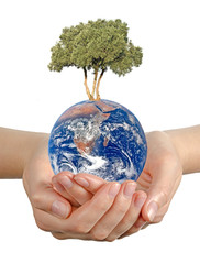 Wall Mural - Gift of Earth.Elements of this image furnished by NASA