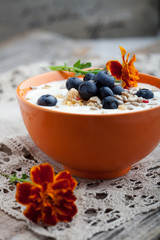 Wall Mural - Yogurt with blueberries