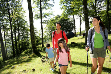 Wall Mural - Family having fun on a trekking day