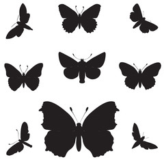 High resolution conceptual group of black shapes of butterfly