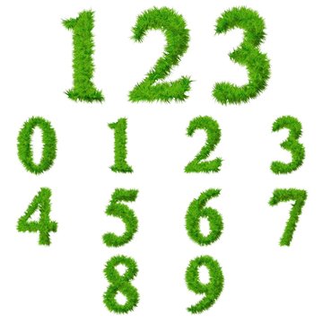 High resolution conceptual grass fonts set