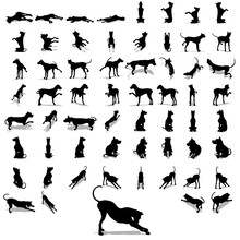 High Resolution Conceptual Collection Of Black Dog Silhouette