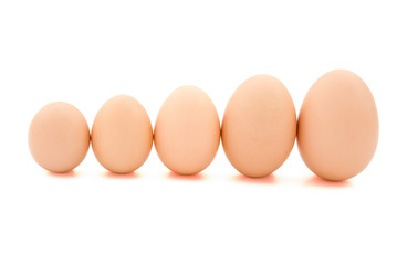 Wall Mural - different size eggs line up with clipping path