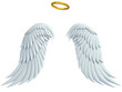 angel design elements - wings and golden halo isolated
