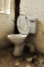 Broken Old Abandoned Toilet