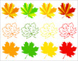 Set of autumn maple leaves - eps8