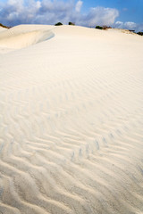 Poster - White sand dune