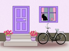 Door, Window And Bicycle And Cat