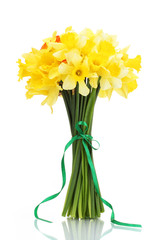 Wall Mural - beautiful bouquet of yellow daffodils isolated on white