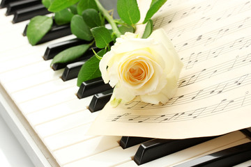 Sticker - background of piano keyboard with rose