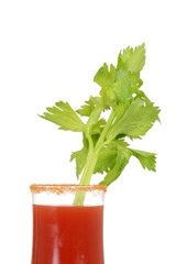 Closeup caesar cocktail drink