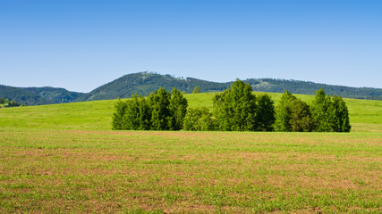 Poster - Field during the springtime