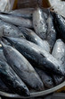 © pun photo - fresh fish at the market