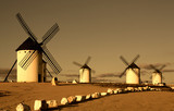 molinos Campo de Criptana
