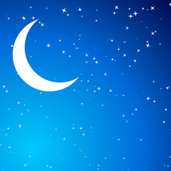 Wall Mural - night with moon