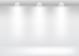 Wall Mural - Showcase Gallery